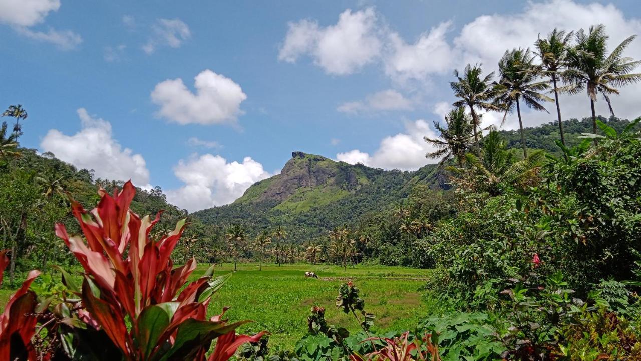 Maliyeckal Homestay Munnar Extérieur photo