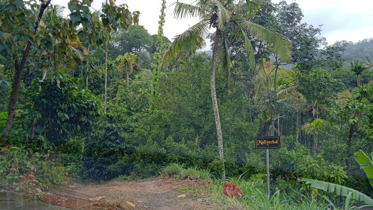 Maliyeckal Homestay Munnar Extérieur photo