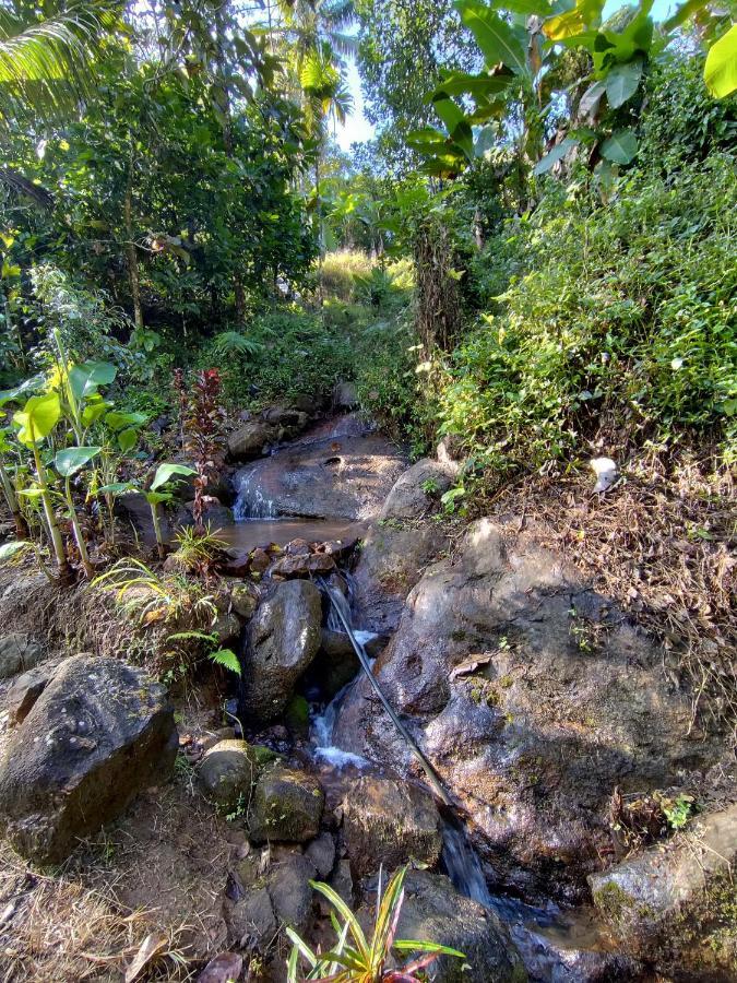 Maliyeckal Homestay Munnar Extérieur photo