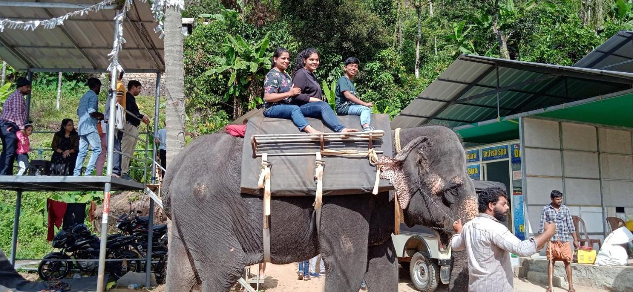 Maliyeckal Homestay Munnar Extérieur photo
