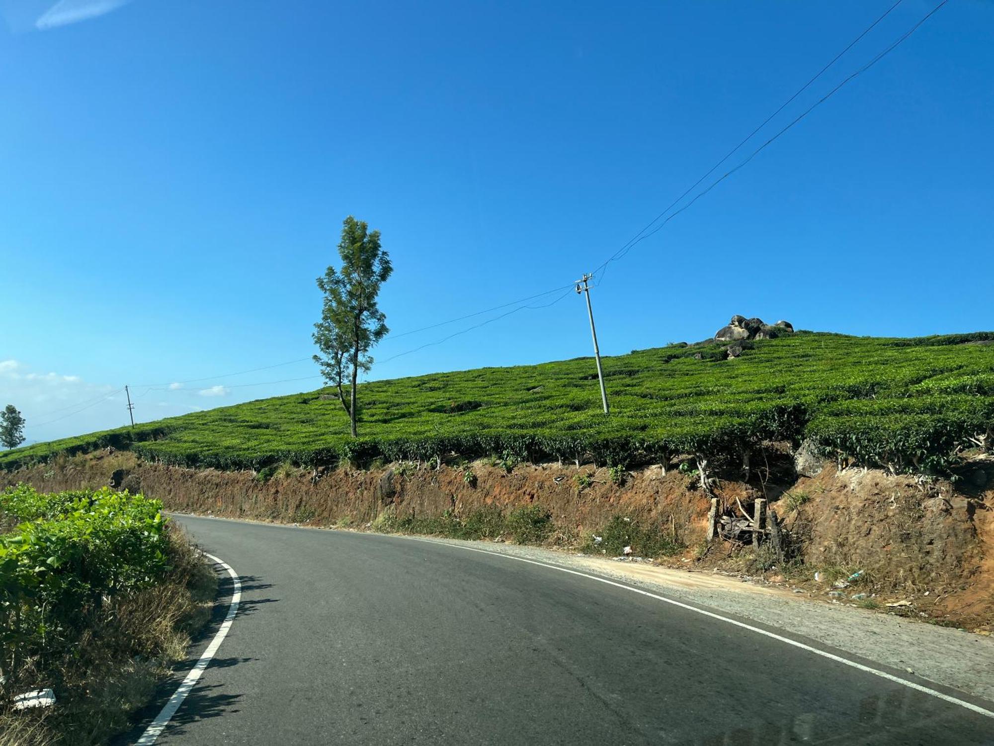Maliyeckal Homestay Munnar Extérieur photo