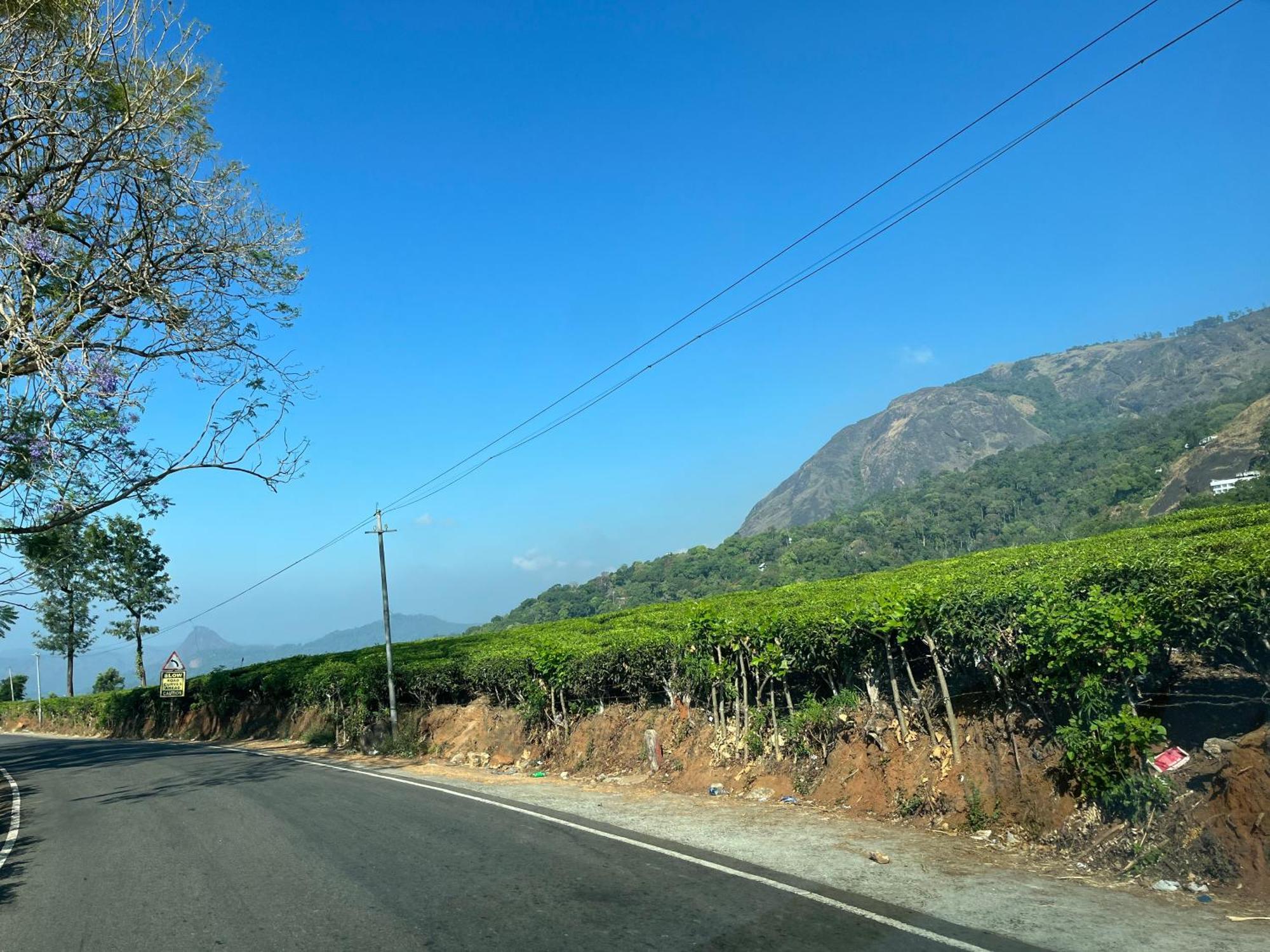 Maliyeckal Homestay Munnar Extérieur photo