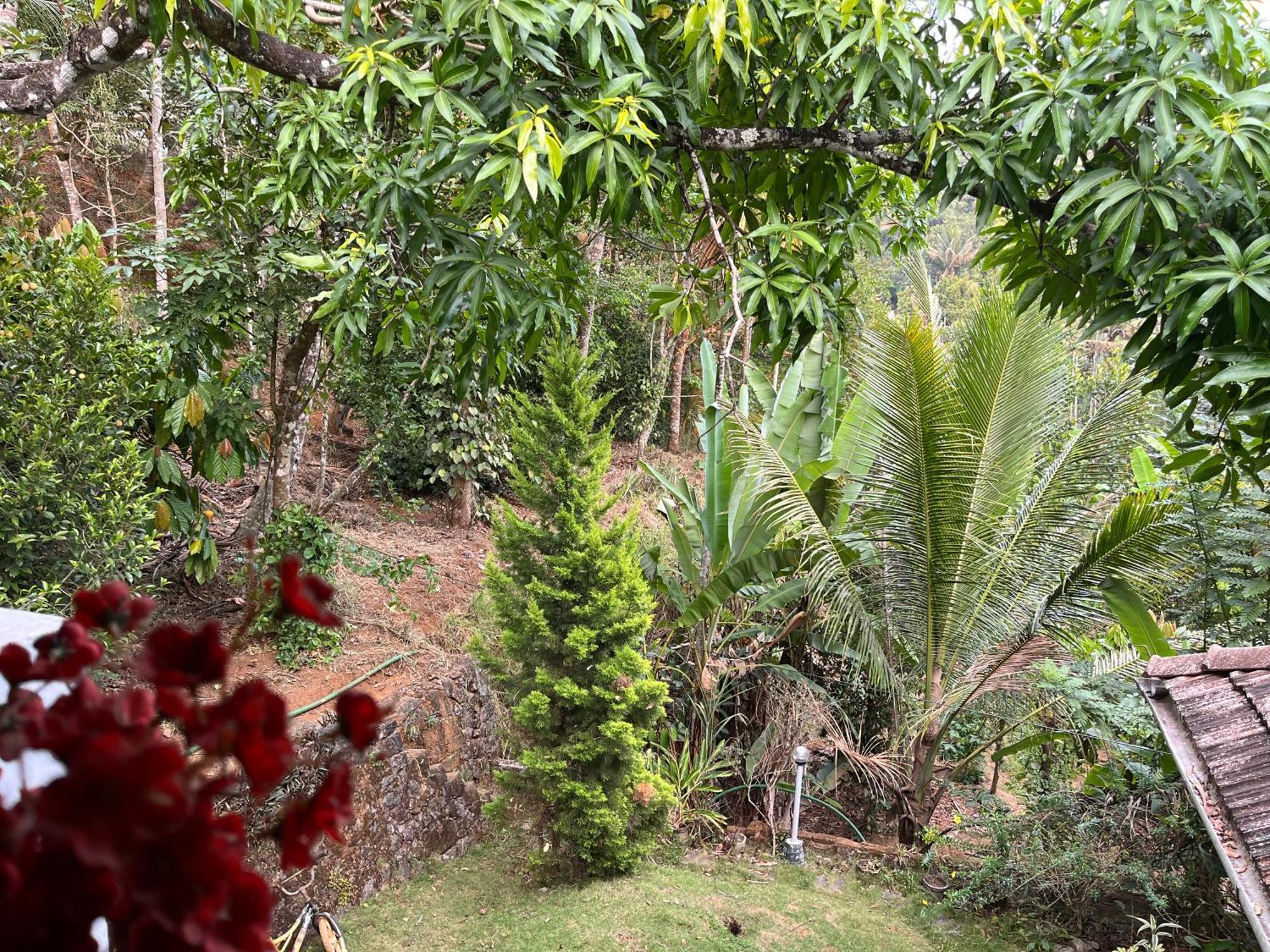 Maliyeckal Homestay Munnar Extérieur photo